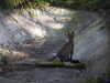 20211024113413-DSCN0822.JPG