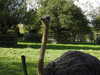 20211024114947-DSCN0840.JPG