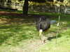 20211024115940-DSCN0852.JPG