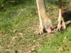 20211024115945-DSCN0853.JPG