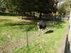 20211024115956-DSCN0855.JPG