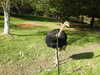 20211024120006-DSCN0856.JPG