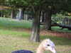 20211024120010-DSCN0857.JPG