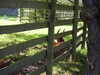 20211024120450-DSCN0859.JPG
