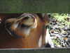 20211024120504-DSCN0860.JPG
