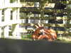20211024120644-DSCN0862.JPG