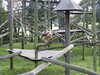 20211024121723-DSCN0883.JPG