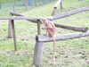 20211024121835-DSCN0888.JPG
