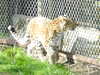 20211024122803-DSCN0897.JPG