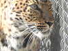 20211024123037-DSCN0906.JPG