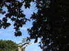 20211024124419-DSCN0913.JPG