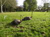 20211024132013-DSCN0960.JPG