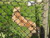 20211024133316-DSCN0975.JPG