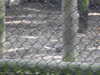 20211024134155-DSCN0977.JPG