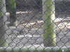 20211024134158-DSCN0978.JPG