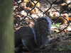 20211024134214-DSCN0980.JPG
