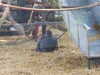 20211024134547-DSCN0982.JPG