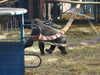 20211024134648-DSCN0984.JPG