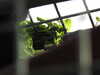 20211024134721-DSCN0987.JPG
