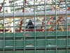 20211024135144-DSCN0996.JPG