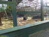 20211024135208-DSCN0998.JPG