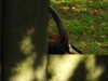 20211024140432-DSCN1024.JPG