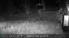 20211104221437-DSCF0141.JPG