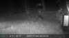 20211105052435-DSCF0551.JPG