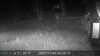 20211105052815-DSCF0575.JPG