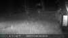 20211105052852-DSCF0579.JPG