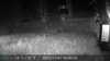 20211107044003-DSCF0350.JPG