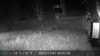 20211107044100-DSCF0356.JPG