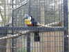 2021-12-11:Hemsley Wildlife Werelords
