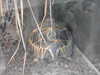 20211211111726-DSCN1039.JPG