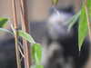 20211211111914-DSCN1042.JPG