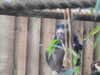20211211111959-DSCN1045.JPG