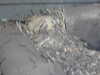 20211211112334-DSCN1048.JPG