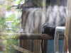 20211211112407-DSCN1049.JPG