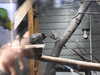 20211211112413-DSCN1050.JPG