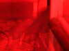20211211112835-DSCN1057.JPG