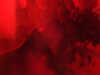 20211211112905-DSCN1058.JPG