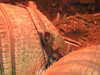 20211211113016-DSCN1065.JPG