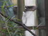 20211211113248-DSCN1066.JPG