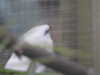 20211211113313-DSCN1067.JPG