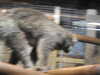 20211211113507-DSCN1078.JPG