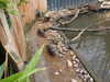 20211211114433-DSCN1087.JPG