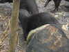 20211211114455-DSCN1092.JPG