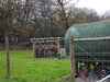20211211115348-DSCN1103.JPG