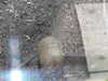 20211211132135-DSCN1128.JPG
