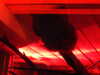 20211211132605-DSCN1145.JPG